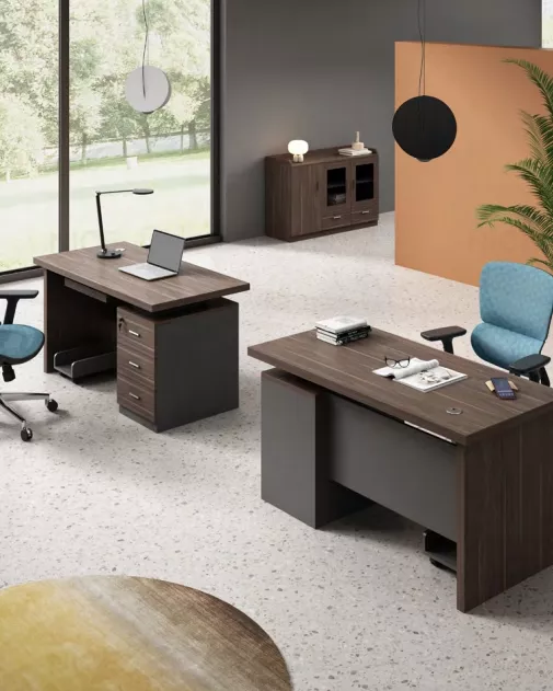 Office desks and chairs